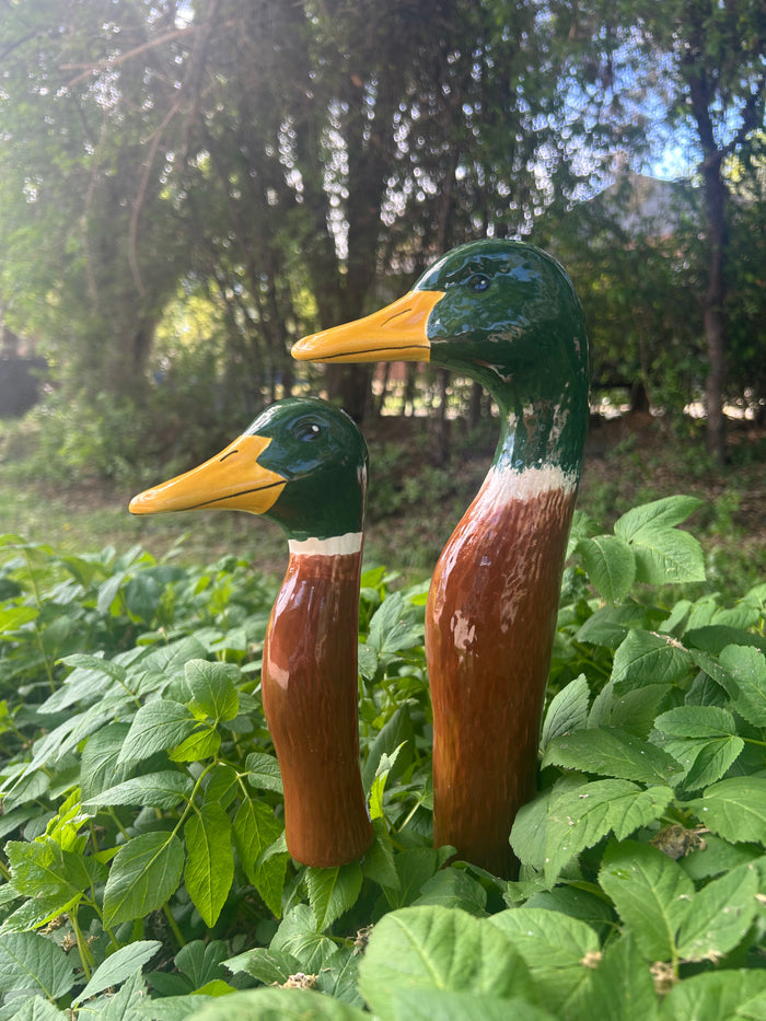 Mallard Duck (4 Sizes)