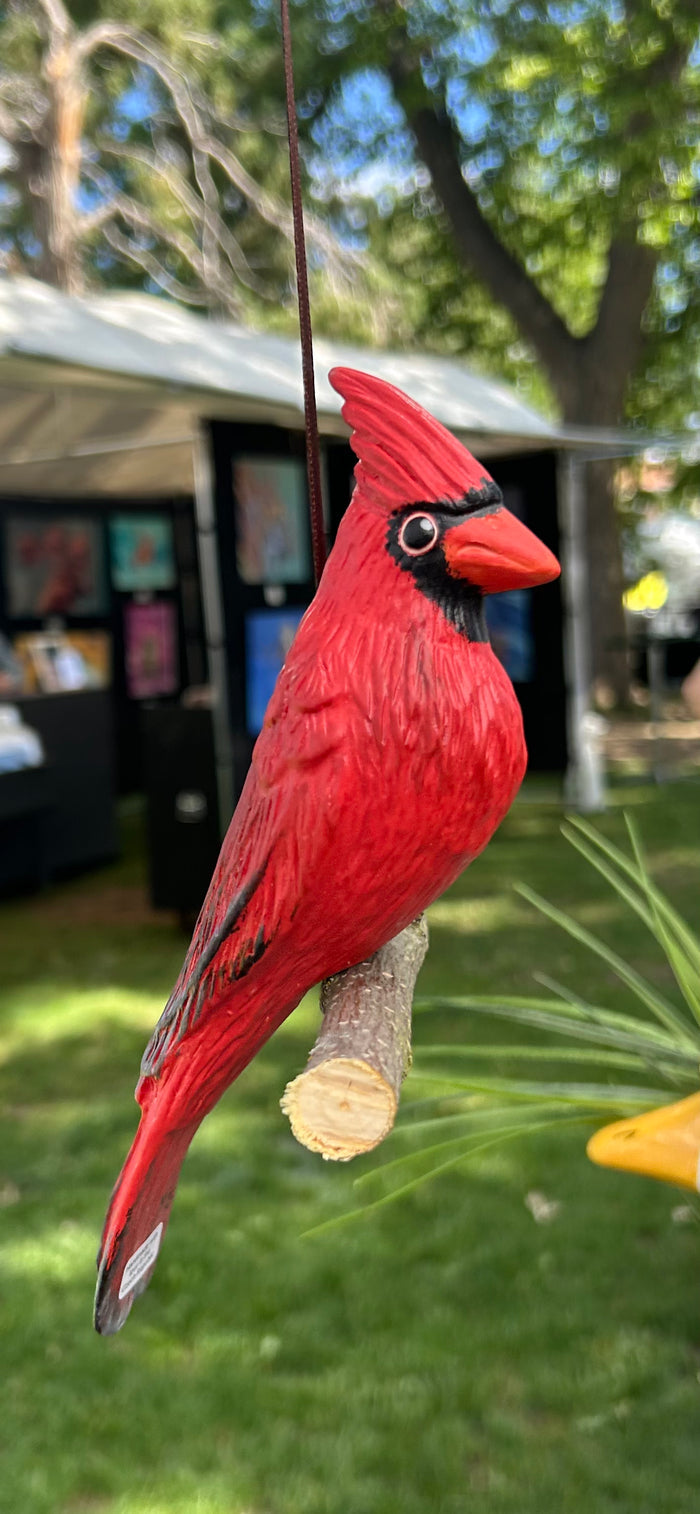 Red Cardinal