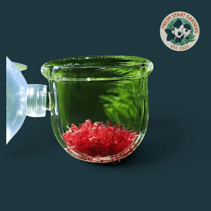 Aquarium Glass Feeding Cup