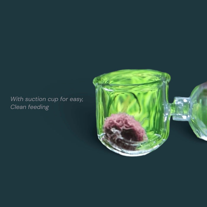 Aquarium Glass Feeding Cup