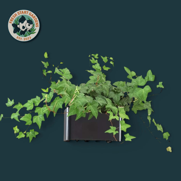 Aquarium Hanging Planter Basket