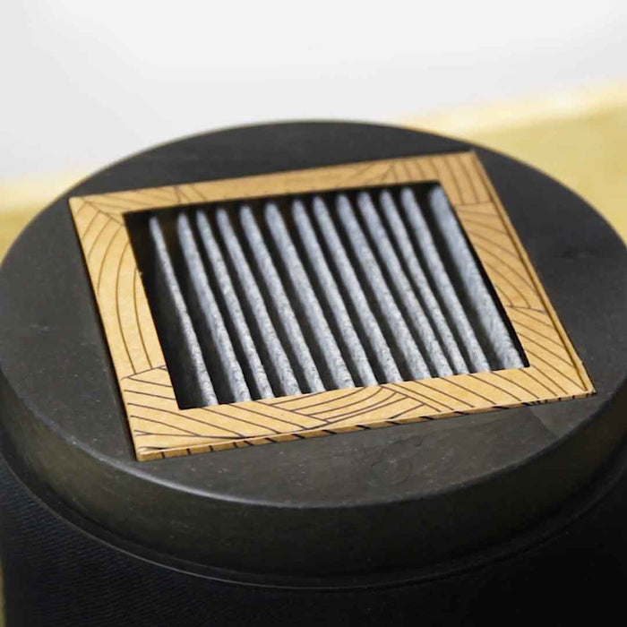 Nano Matrix Filter Pack inside a briiv