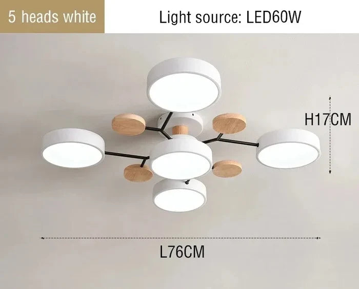 White 5 lights / 220 V / Three color dimming