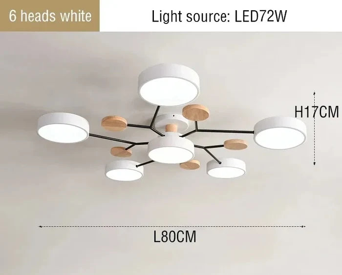 Ceiling Light LED Modern Fixture With Circular White Shades For Living Room