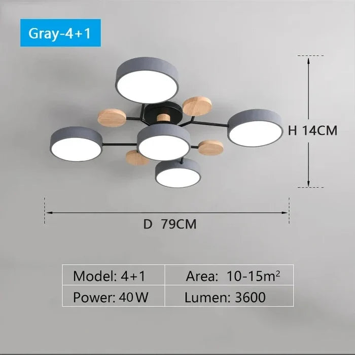 Grey 5 lights / 220 V / Three color dimming