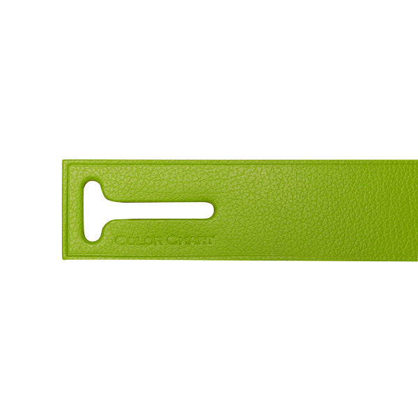 Color Chart Travelers Luggage Tag