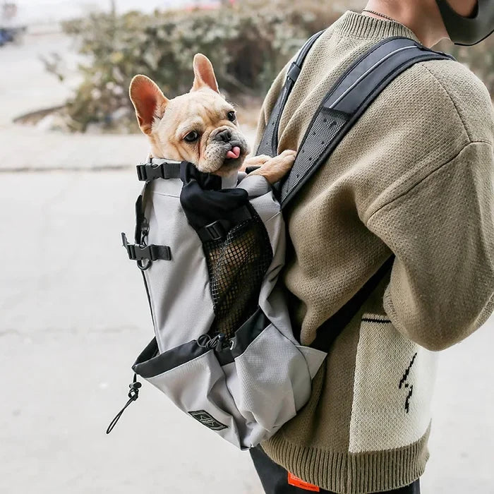 Dog Carrier Backpack Breathable Hands-Free Pet Carrier Pack Fall 2025 Outdoor Travel Comfort Small Dogs