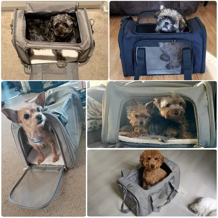 Dog Carrier Soft Side Backpack Pet Carrier Airline Approved Travel 2025 Breathable Hands Free Comfort