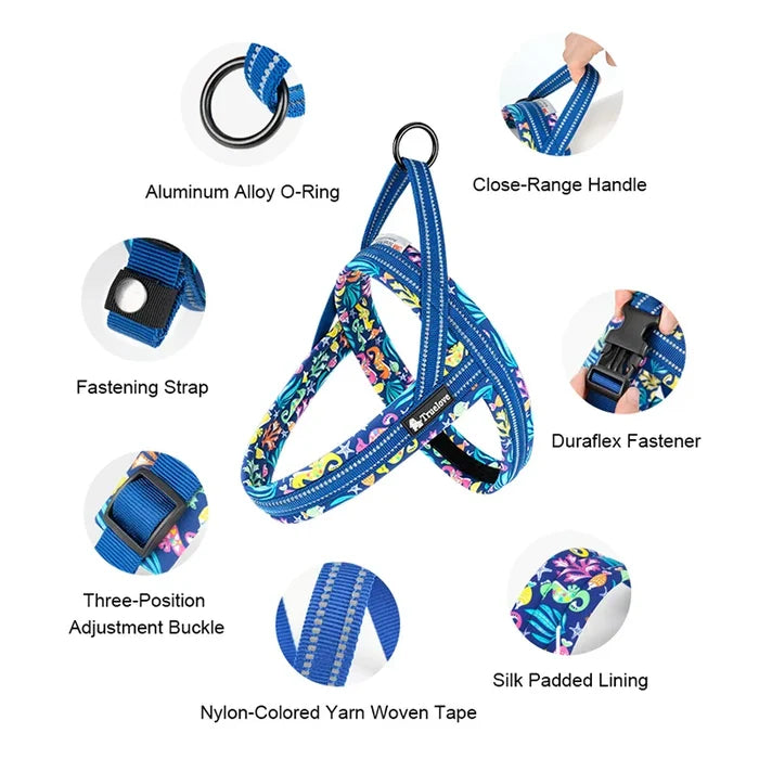 Dog Harness Floral Mesh Padded Vest Harness Quick Fit Adjustable All Breeds Fall 2025 Comfortable Walks