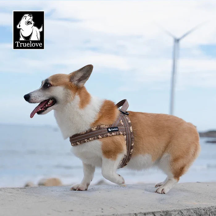 Dog Harness Floral Mesh Padded Vest Harness Quick Fit Adjustable All Breeds Fall 2025 Comfortable Walks