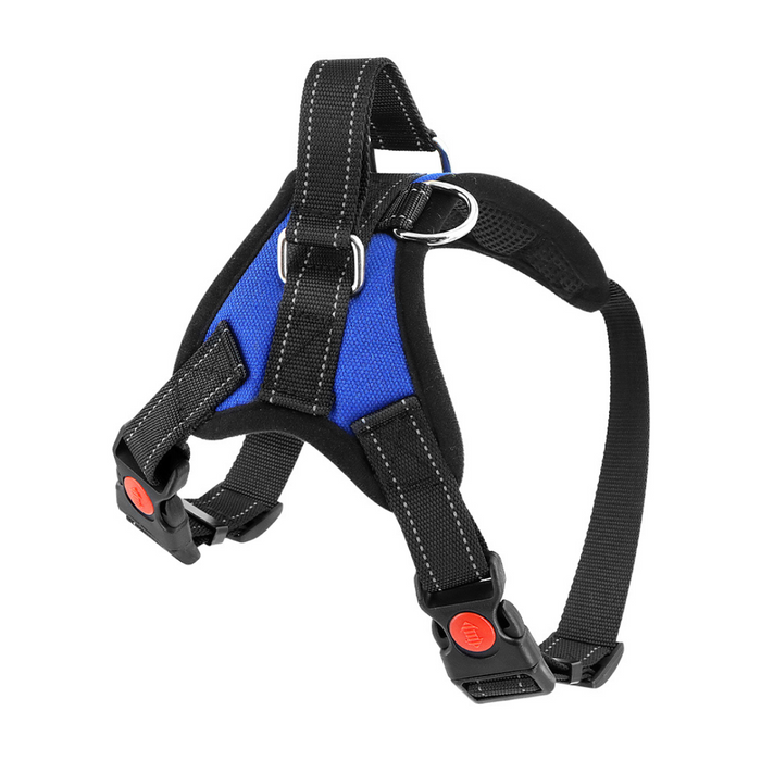 Sea Blue / Extra-Small (5-15 LB) (2-7 KG) / Harness