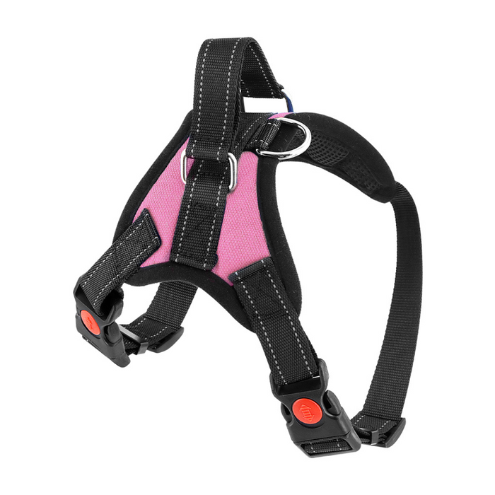 Taffy Pink / Extra-Small (5-15 LB) (2-7 KG) / Harness
