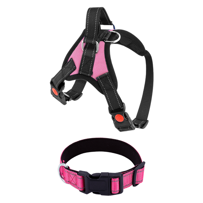 Taffy Pink / Extra-Small (5-15 LB) (2-7 KG) / Harness + Collar