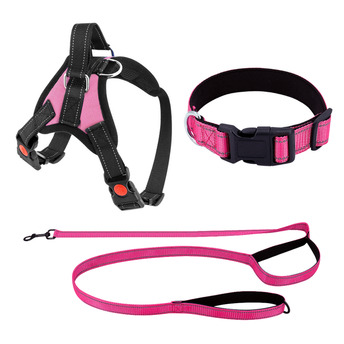 Taffy Pink / Extra-Small (5-15 LB) (2-7 KG) / Harness + Leash + Collar