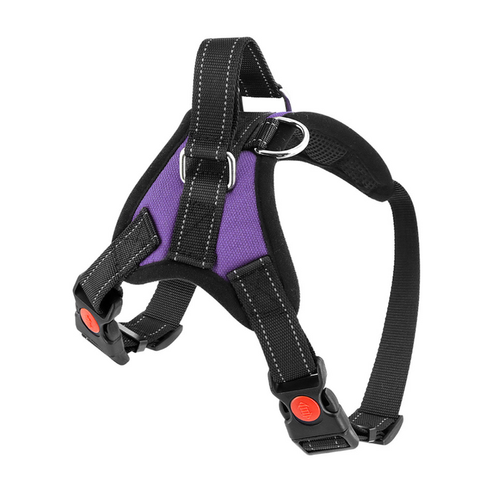 Plum Purple / Extra-Small (5-15 LB) (2-7 KG) / Harness