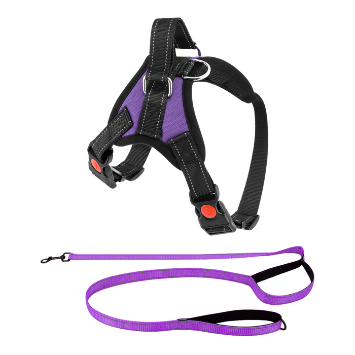 Plum Purple / Extra-Small (5-15 LB) (2-7 KG) / Harness + Leash