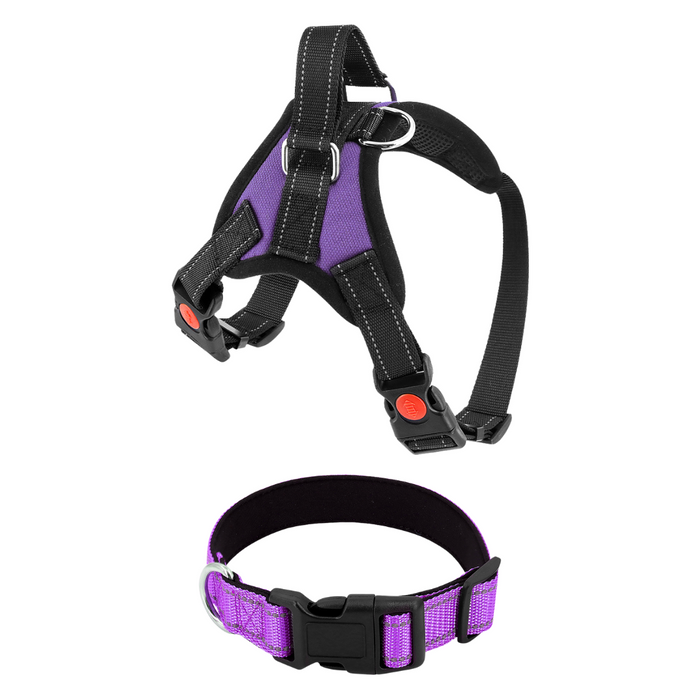 Plum Purple / Extra-Small (5-15 LB) (2-7 KG) / Harness + Collar