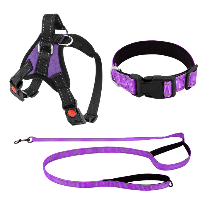Plum Purple / Extra-Small (5-15 LB) (2-7 KG) / Harness + Leash + Collar