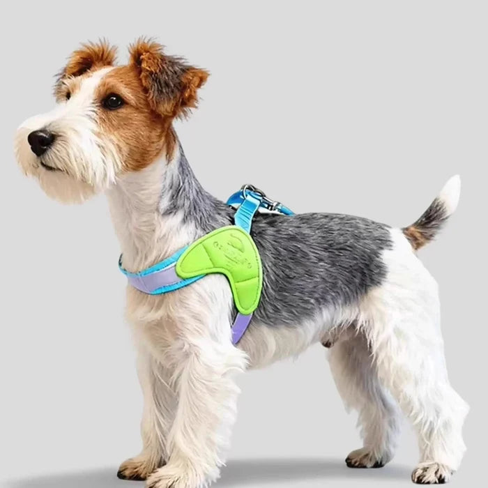 Dog Harness Y Shaped Adjustable Chest Straps Polyester Blends Summer 2026 Outdoor Use Easy Fit