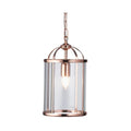 Fern Ceiling Lantern Copper 1 Light