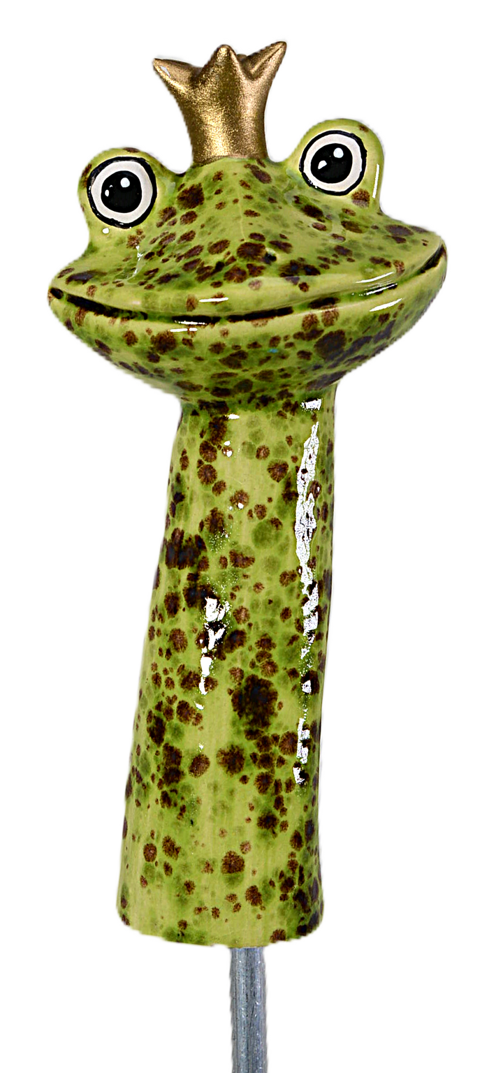 Frog Prince