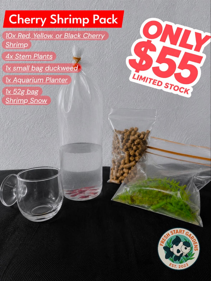 FSG Cherry Shrimp Pack