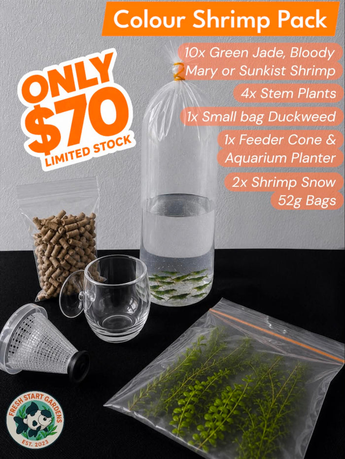 FSG Colour Shrimp Pack