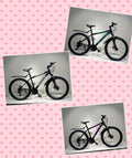 Galleven 26"
