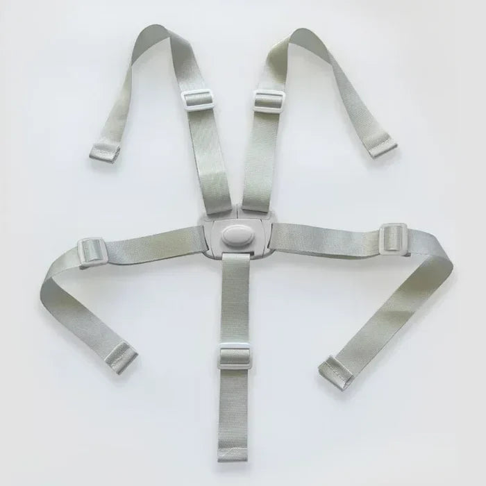 Seat Belt