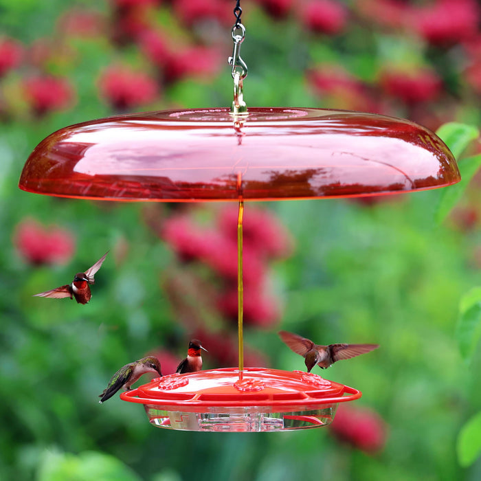 Fliteline Feeder & Baffle Set with multiple hummingbirds feeding; features six ports, wraparound perch, and ant moat.