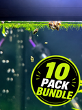 Pond Snail - 10 Pack Bundle