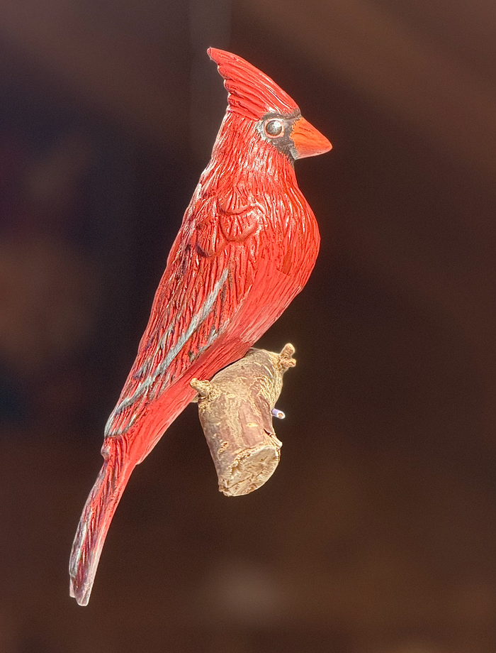 Red Cardinal