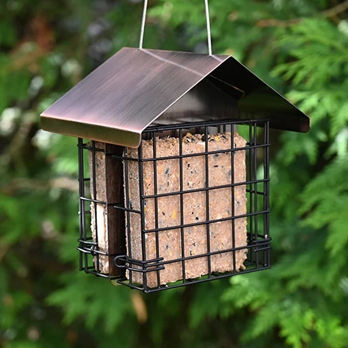 Regal Style Double Suet Cake Feeder, a metal cage with peaked roof, holds a suet block, suspended by a cord, offering dual-side feeding for birds.