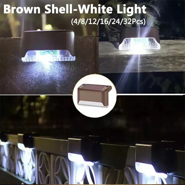 Brown Shell-White / 4Pcs