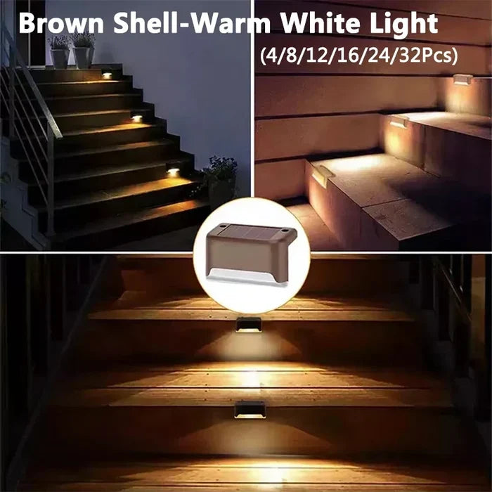 Brown Shell-Warm / 4Pcs