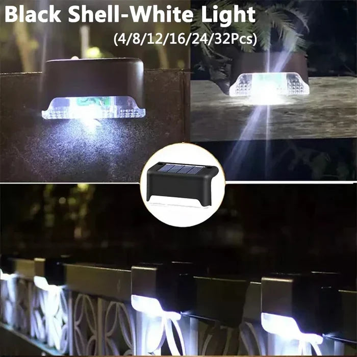 Black Shell-White / 4Pcs