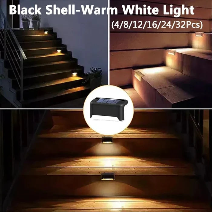 Black Shell-Warm / 4Pcs