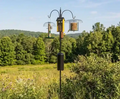 Squirrel-Proof Super Tall Quad Hanger featuring a three-arm pole with squirrel baffle, set in a grassy outdoor area, holds multiple bird feeders.