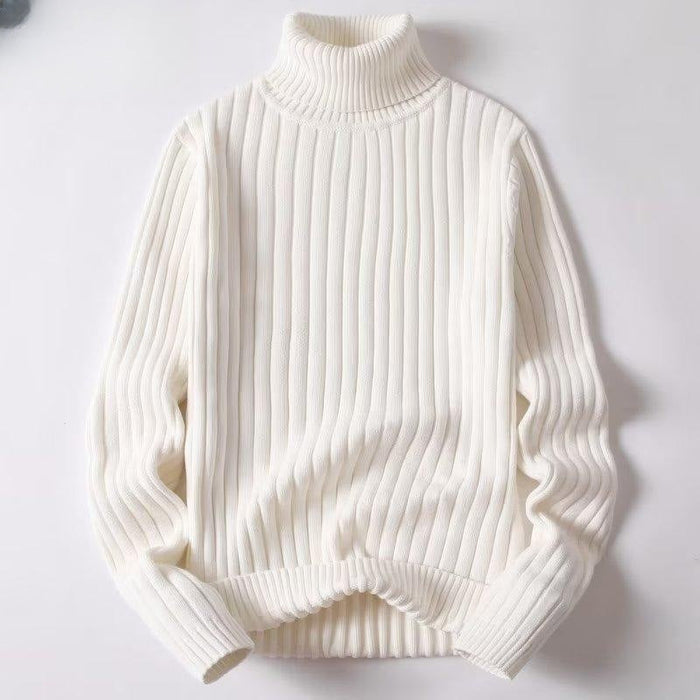 Warm Men Turtleneck Sweater - Ribbed Knit, For Winter